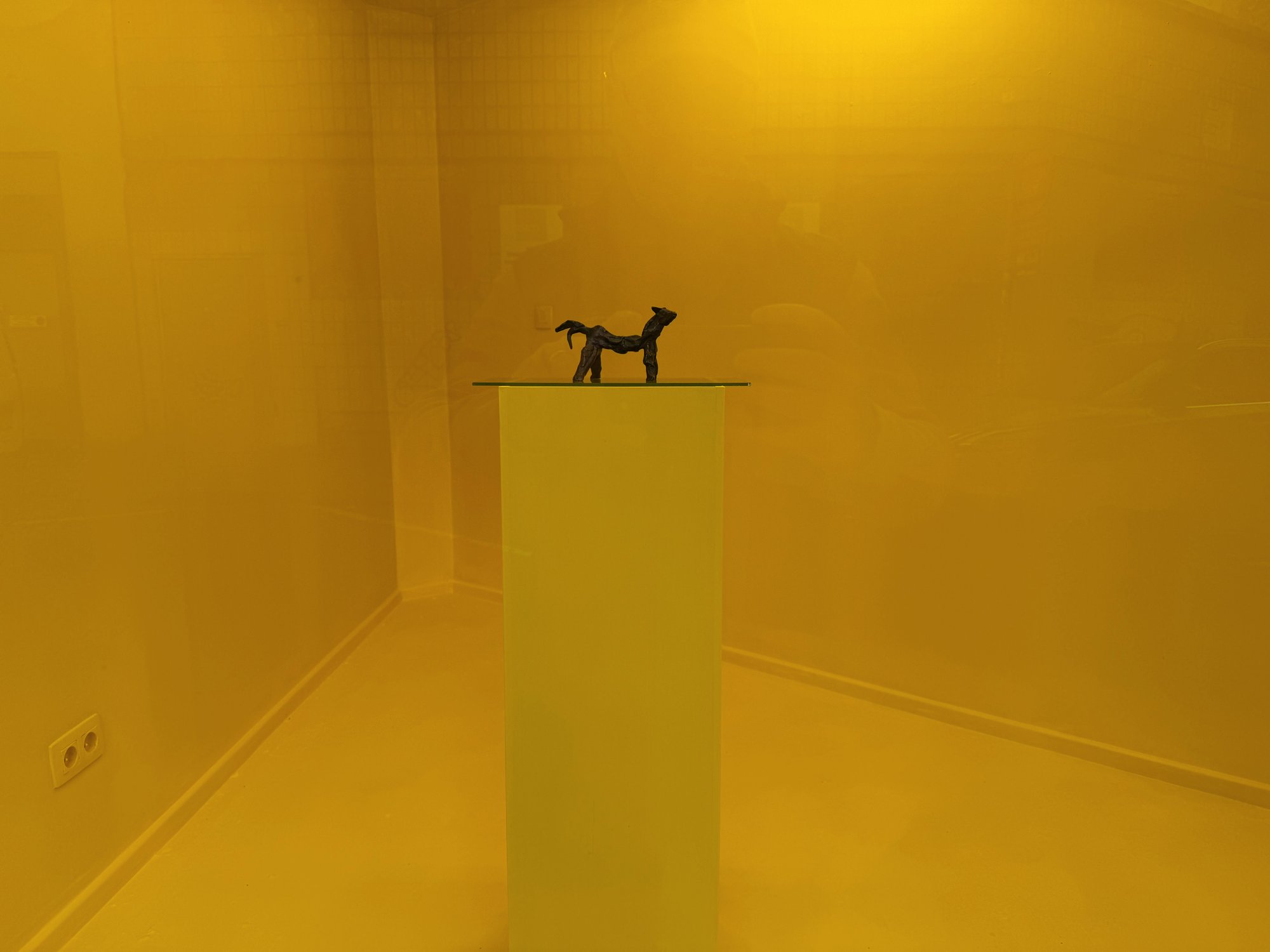 Le Cheval Caged