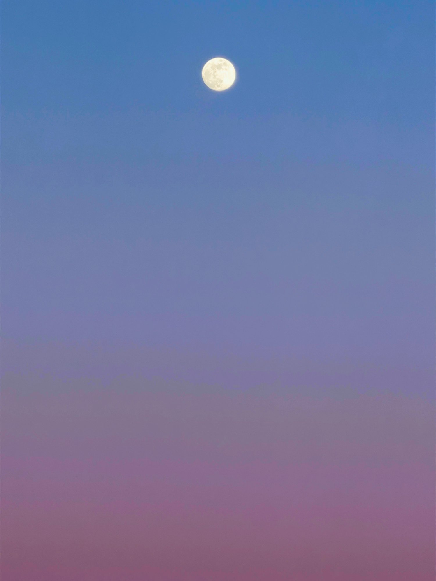 Winter Moon